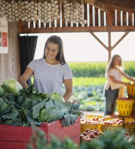 Infolettre - Kiosque fermier chez mario